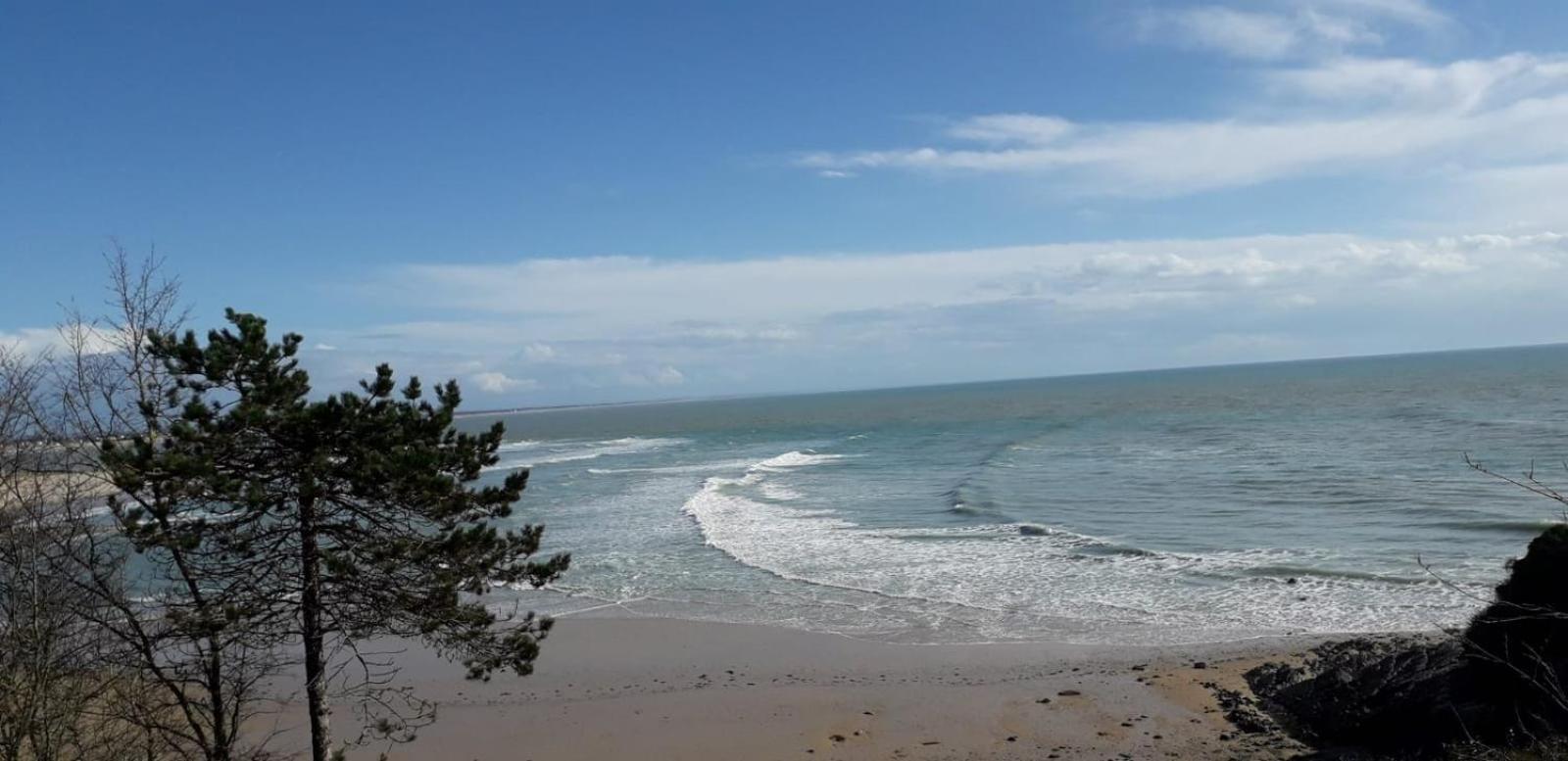 Les Sables D'Or - Joli T3 200M De La Plage Barneville-Carteret Exterior photo